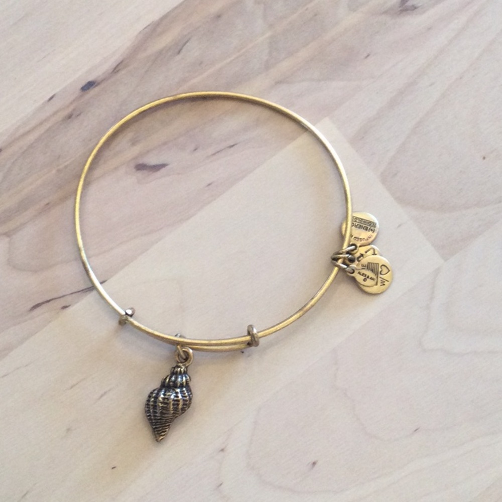 Alex and ani bracelet